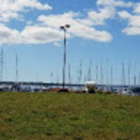 Meet your Posher, Miggy - Picture 1 of 1